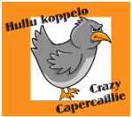 Hullu Koppelo