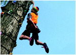 Monkey Climbing
