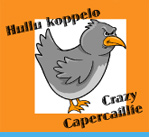 Hullu Koppelo