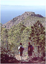 Patikointia Gran Canarialla