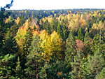 Maisema Karhunpes&auml;lt&auml;